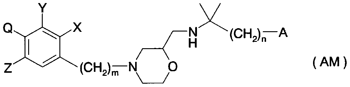 Figure imgf000019_0001