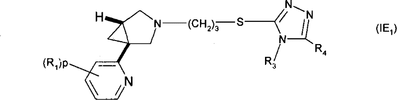 Figure S05812615520061025D000092