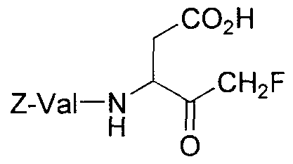 Figure imgf000014_0002