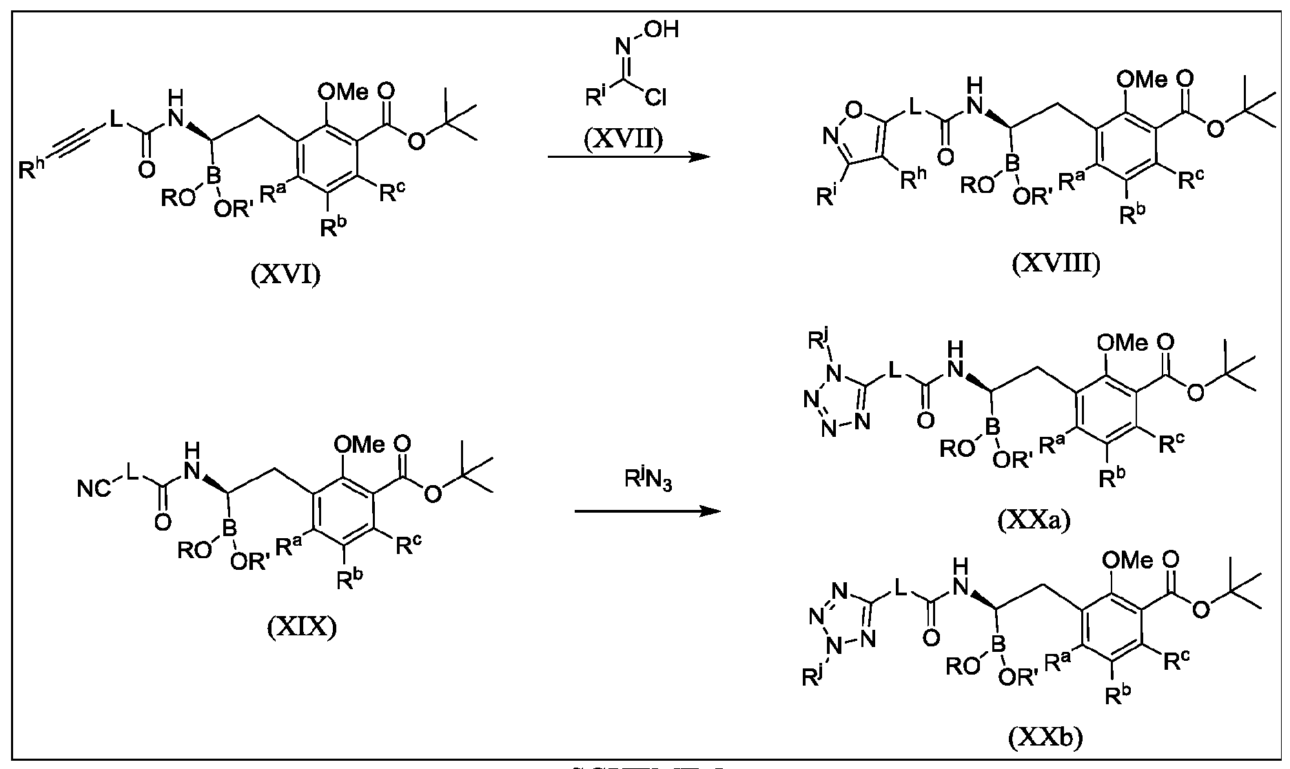 Figure imgf000141_0001