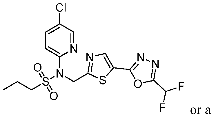 Figure imgf000011_0001
