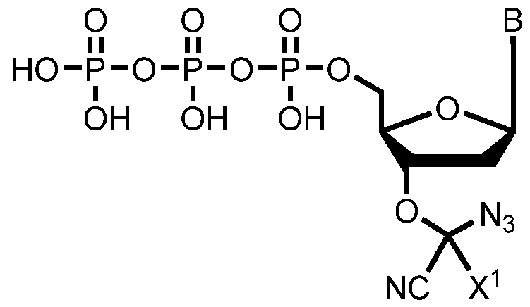 Figure imgf000196_0001