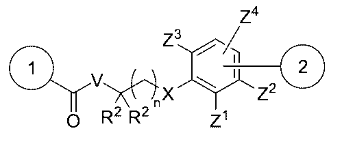 Figure 0007442821000072