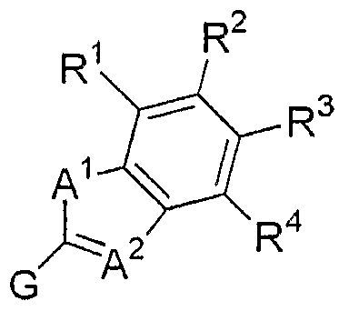Figure imgf000006_0001