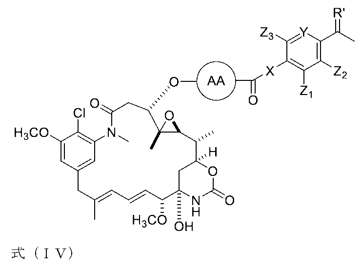 Figure 0007442821000020