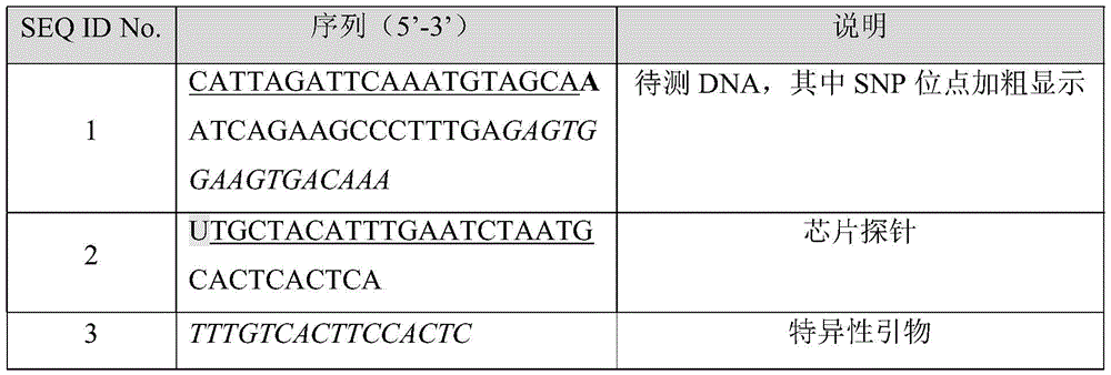 Figure BDA0003090598740000081