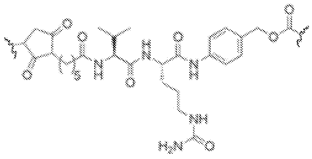 Figure imgf000029_0002
