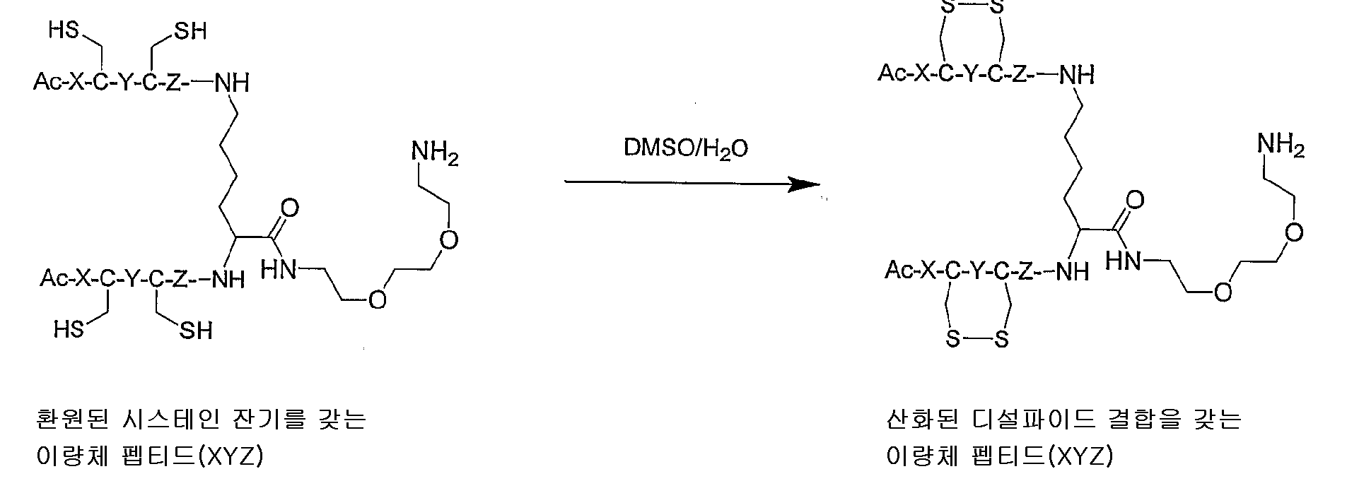 Figure 112005065158161-pct00035