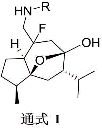 Figure FDA0003095426060000011