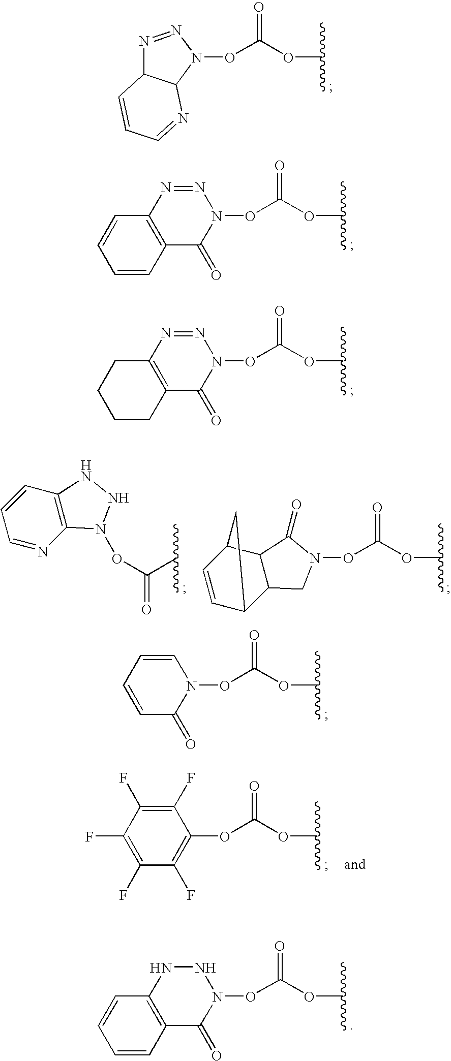Figure US20100330645A1-20101230-C00121