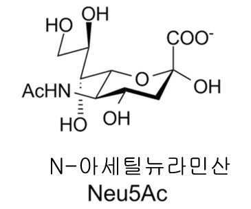 Figure 112013017532916-pct00028