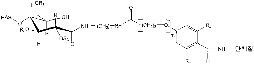 Figure 112006072682432-PCT00042