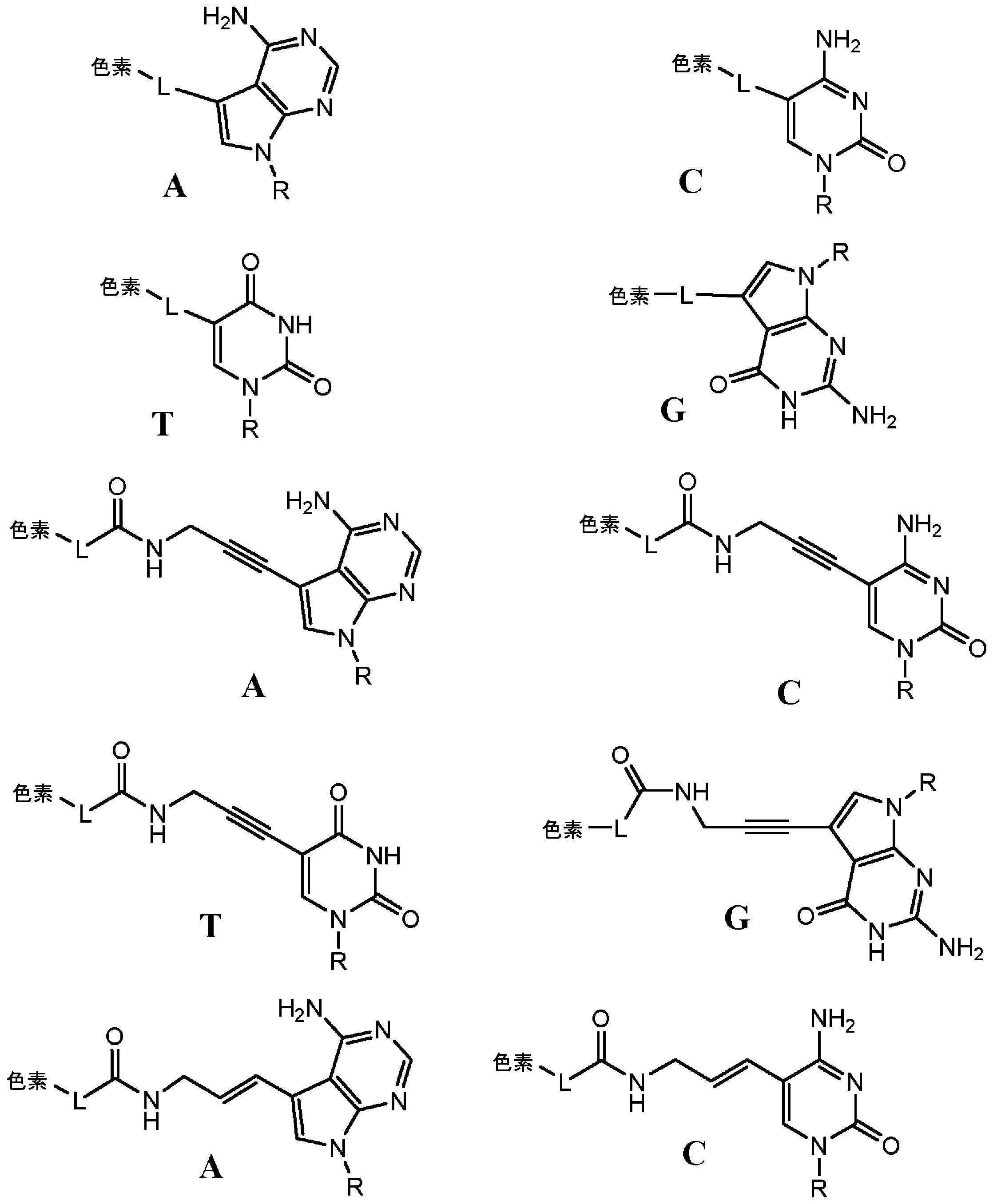 Figure 2023510454000063