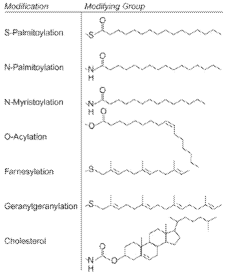 Figure imgf000045_0001