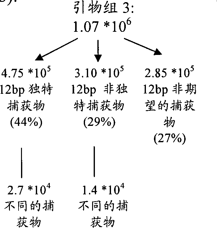 Figure G2008800080278D00923