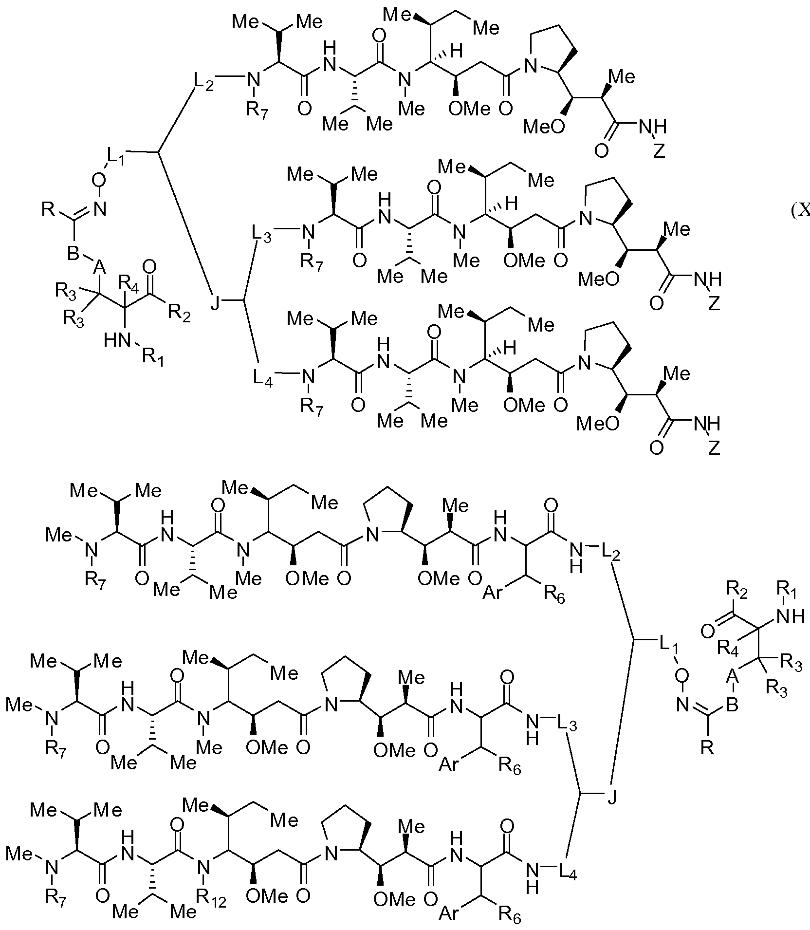 Figure imgf000012_0001