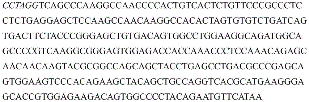 Figure GDA0003152722340000951