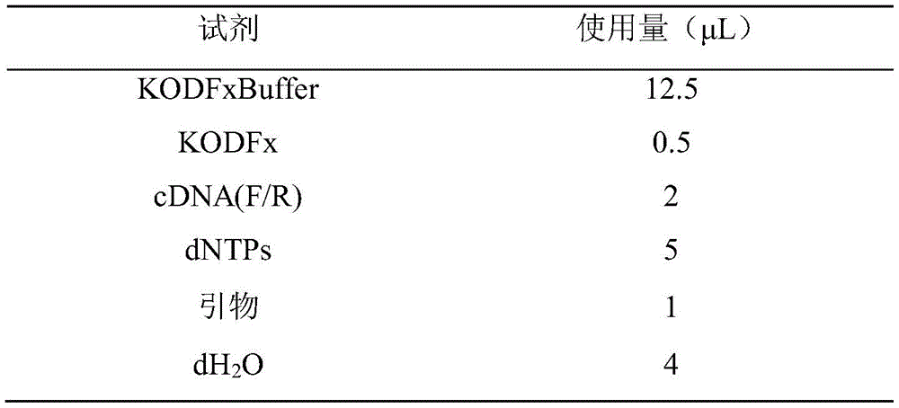 Figure FDA0002586516860000011