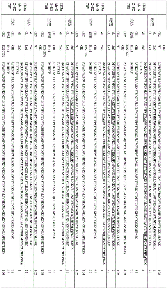 Figure BDA0002336612250001531