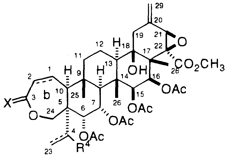 Figure imgf000041_0001