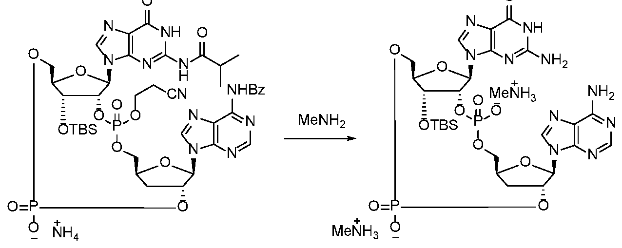 Figure imgf000081_0002