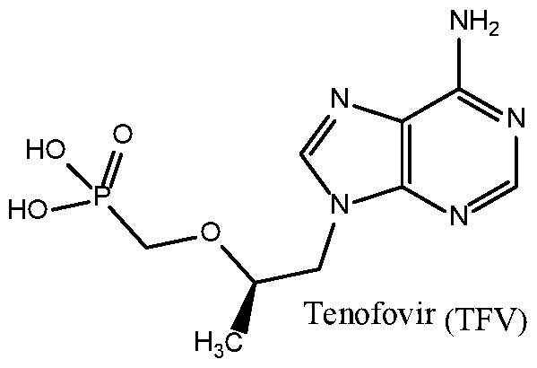 Figure imgf000003_0001