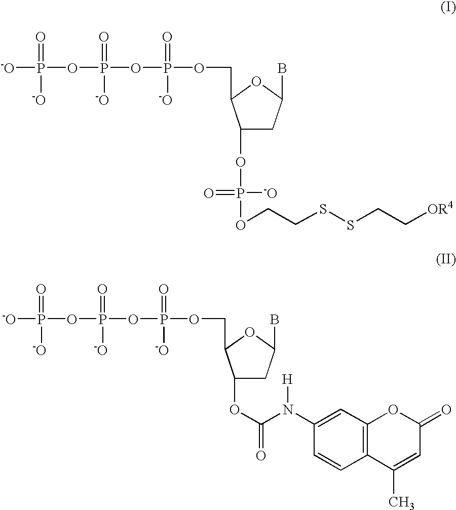 Figure US20080131904A1-20080605-C00011