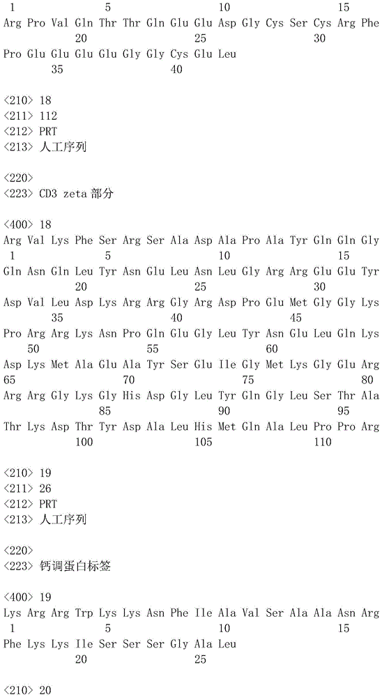 Figure IDA0001070643320000061