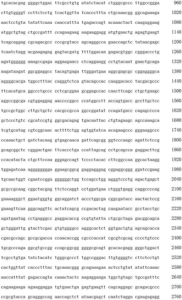 Figure IDA0001542153210000171