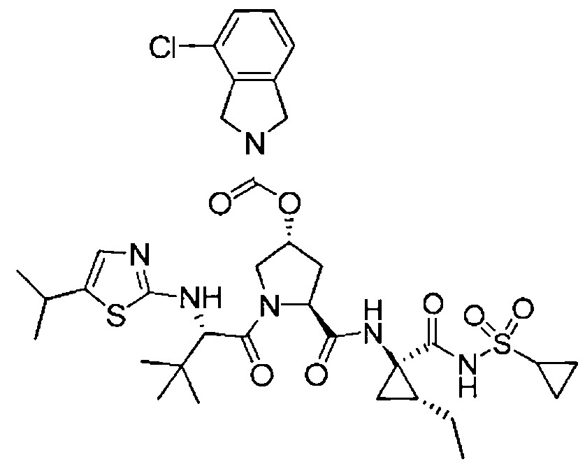 Figure 112009076339753-PCT00101