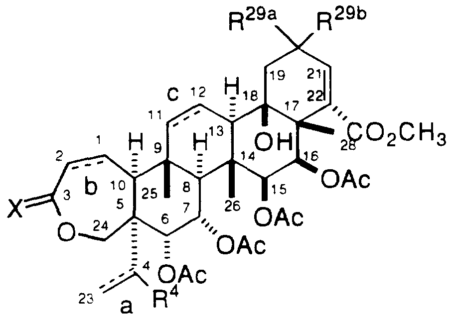 Figure imgf000011_0002