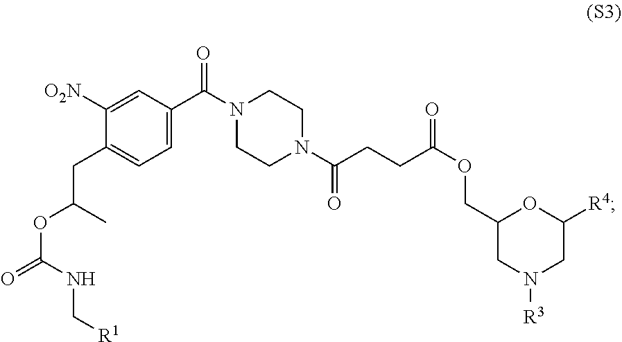 Figure US20210198296A1-20210701-C00122