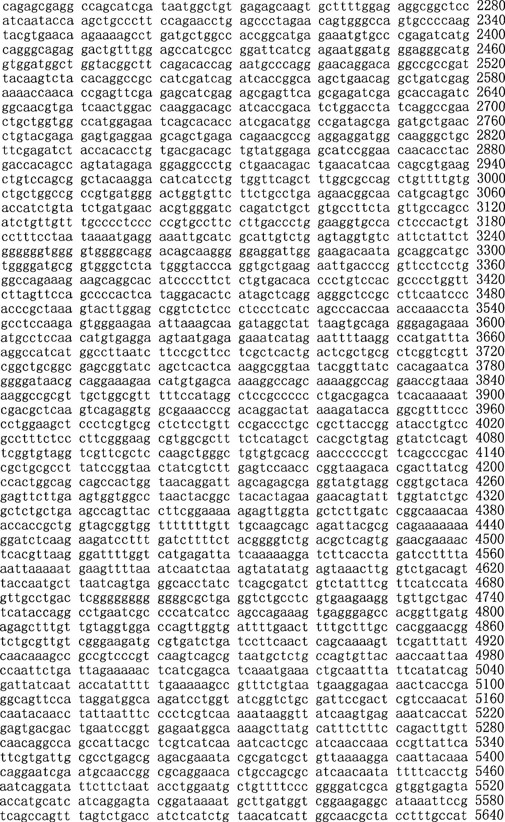 Figure A200780009494D01241