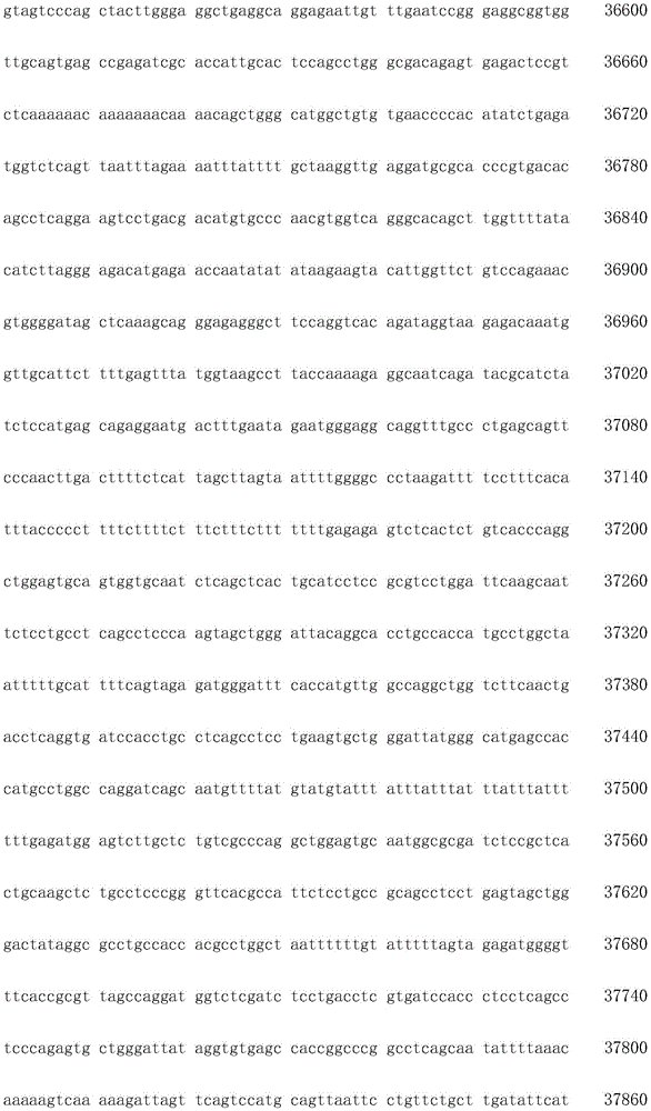 Figure IDA0003936212790001291