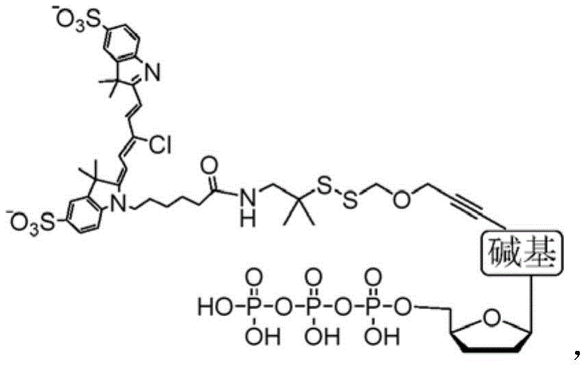 Figure FDA0003538717910000061