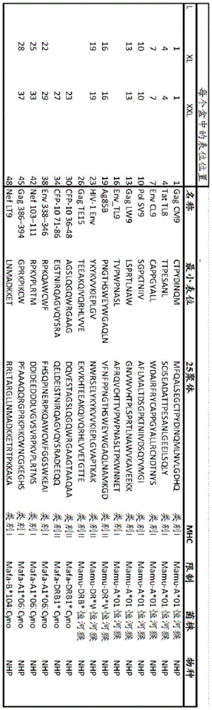 Figure BDA0002872168850001111