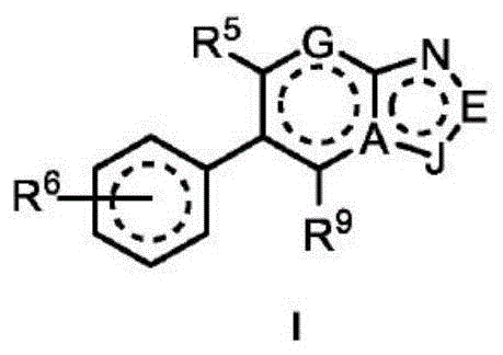 Figure FDA0003101608290000011