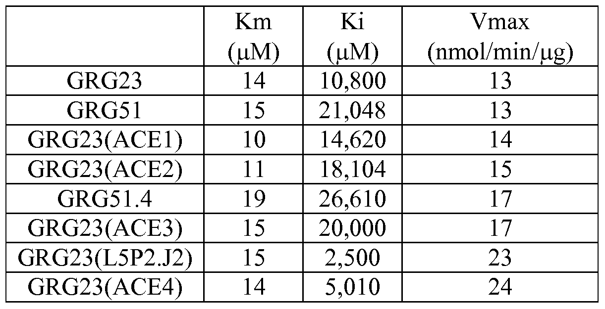 Figure imgf000028_0001