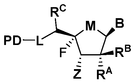 Figure imgf000079_0001