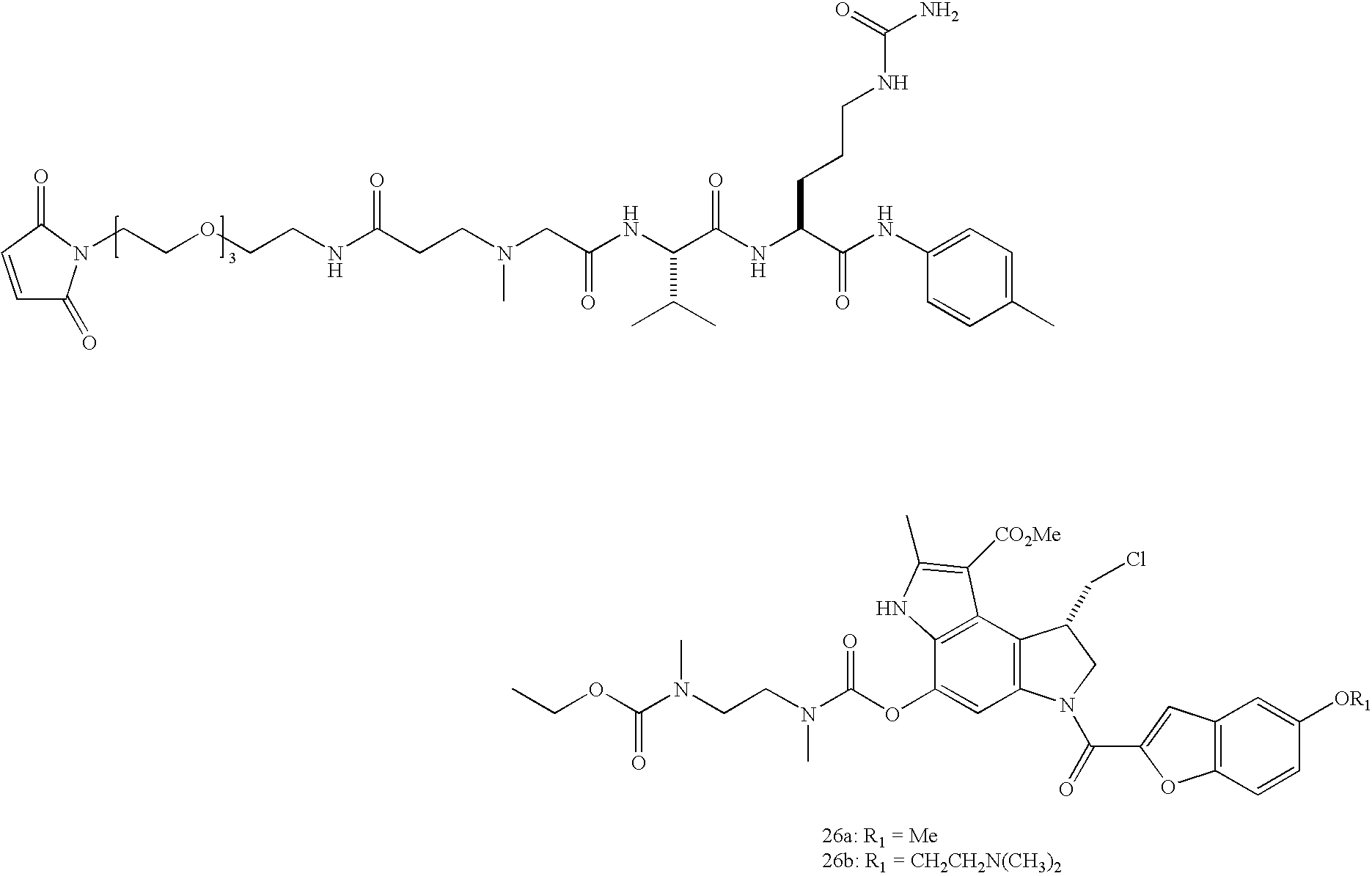 Figure US20080279868A1-20081113-C00096