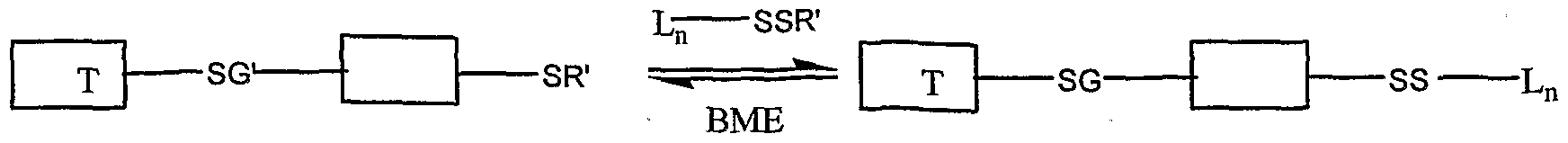 Figure imgf000032_0002