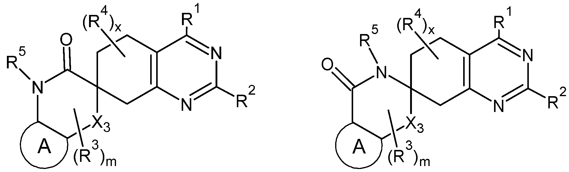 Figure imgf000005_0002