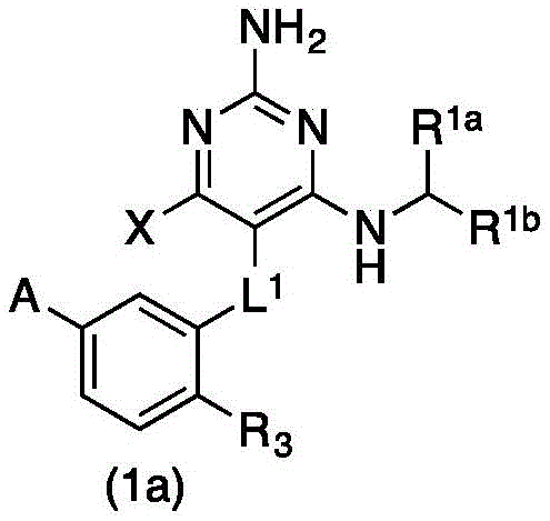 Figure GDA0003779907830001154
