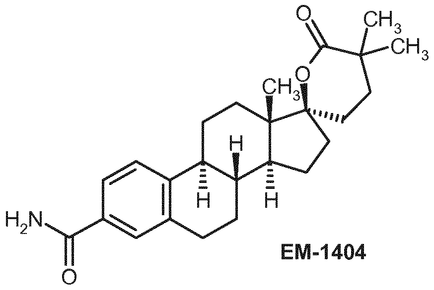 Figure imgf000004_0001