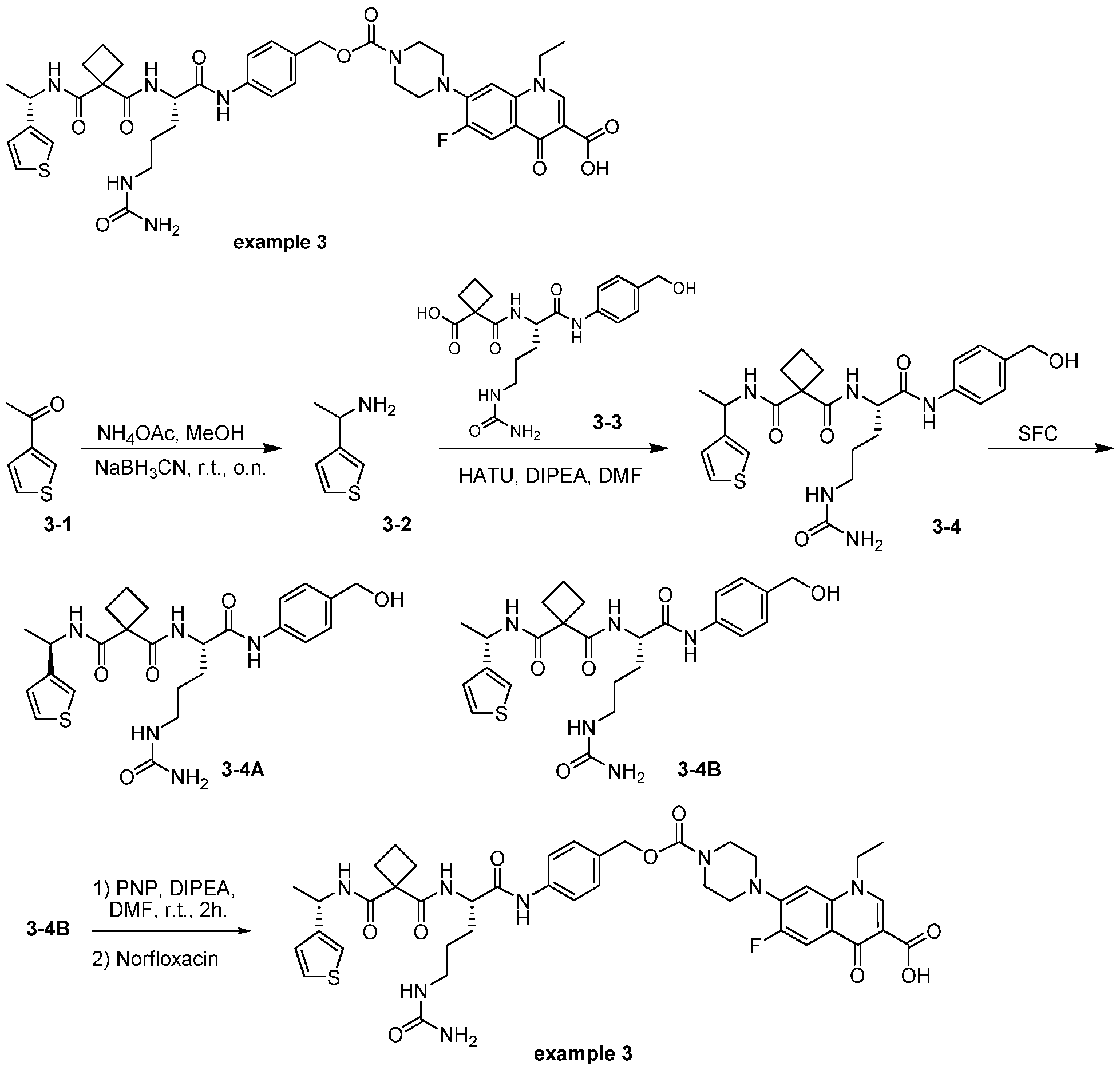 Figure imgf000082_0001
