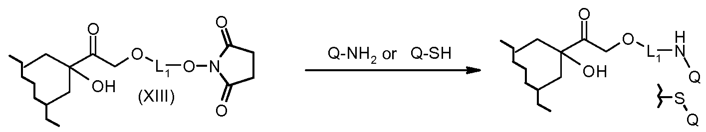 Figure imgf000077_0002