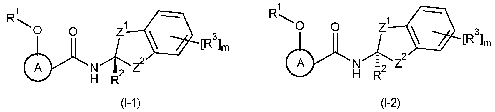 Figure imgf000013_0002