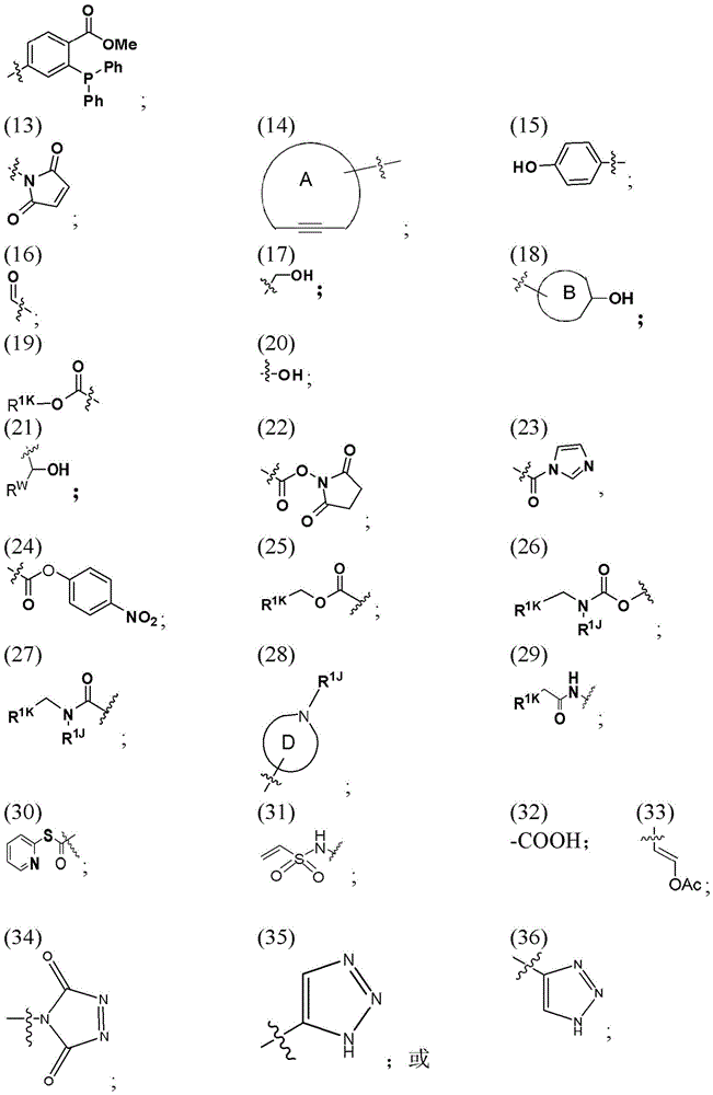Figure BDA0003135424430000851