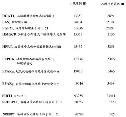 Figure DEST_PATH_IMAGE019