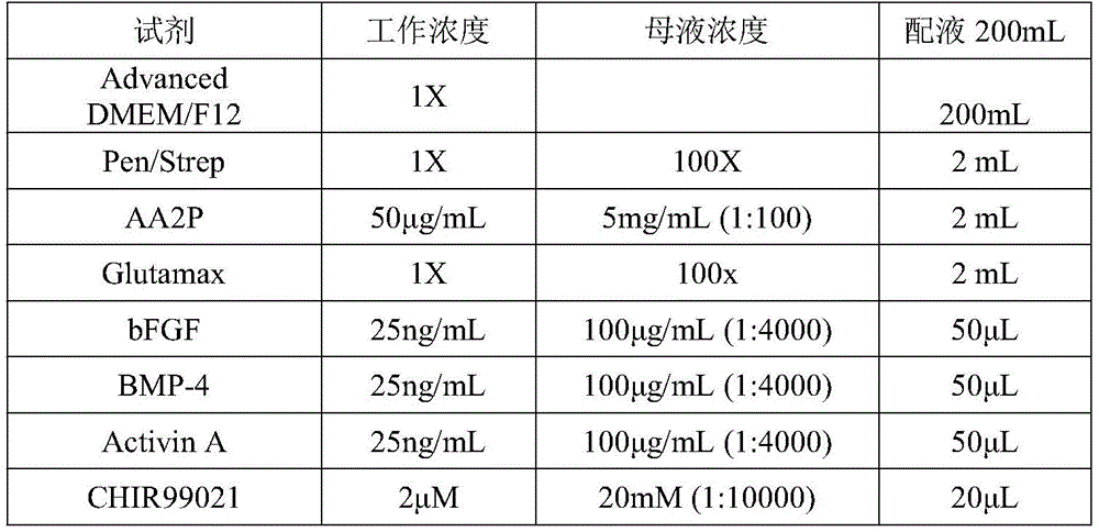 Figure BDA0003483335710000131